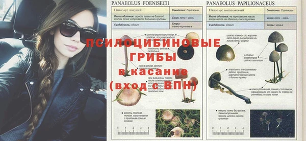 каннабис Алексин